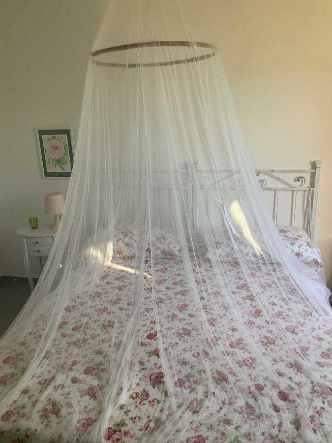 Beahouse: Casa Con Vista A Sassettaアパートメント エクステリア 写真